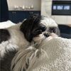 chloeandcam